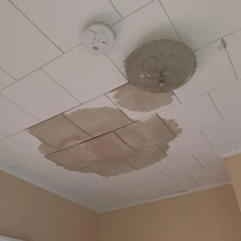 Ceiling Water Damage Repair in Wedgefield, SC