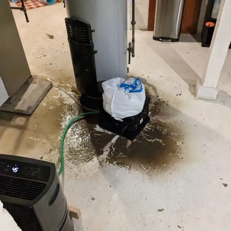 Sewage Backup Cleanup Service in Wedgefield, SC